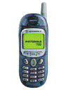 Best available price of Motorola T190 in Cambodia