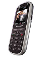 Best available price of Motorola WX288 in Cambodia