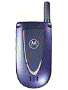 Best available price of Motorola V66i in Cambodia